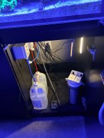 IMG_1122.jpeg