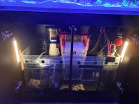 IMG_1123.jpeg