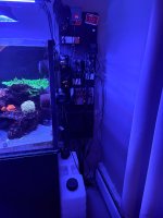 IMG_1120.jpeg