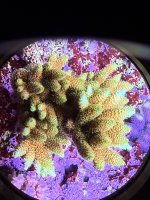 IMG_9835.jpeg