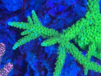 IMG_1759.jpeg