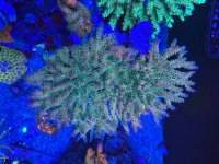 IMG_1756.jpeg