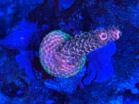 IMG_1751.jpeg