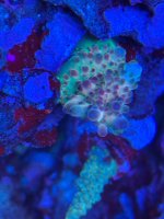 IMG_1735.jpeg