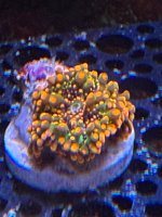 IMG_9989.jpeg