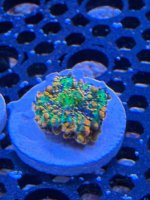IMG_0021.jpeg
