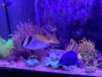 IMG_5058.jpeg