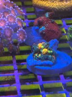 IMG_2102.jpeg