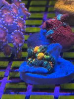 IMG_2103.jpeg