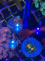 IMG_2104.jpeg
