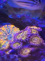 IMG_2111.jpeg