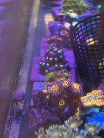 IMG_2112.jpeg