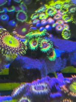 IMG_2110.jpeg