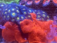 IMG_4845.jpeg