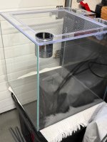 IMG_1603.jpeg
