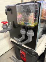 IMG_1604.jpeg