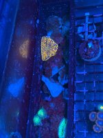 IMG_7304.jpeg