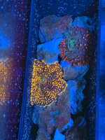 IMG_6358.jpeg