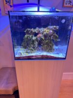 IMG_6781.jpeg