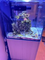 IMG_6782.jpeg