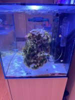 IMG_6783.jpeg
