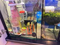 IMG_6778.jpeg
