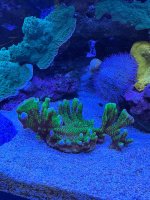 IMG_3995.jpeg
