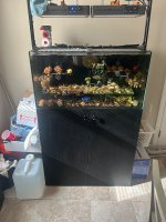 IMG_2158.jpeg