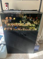 IMG_2159.jpeg