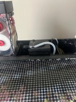 IMG_2162.jpeg