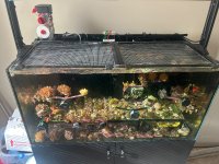 IMG_2163.jpeg
