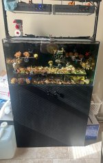 IMG_2164.jpeg