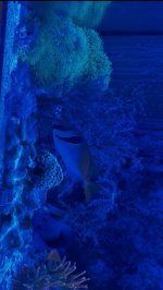 IMG_5188.jpeg