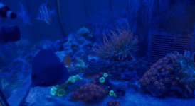 IMG_5186.jpeg