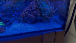 IMG_5185.jpeg