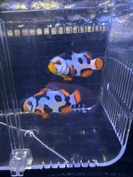 IMG_7304.jpeg