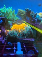 IMG_7293.jpeg