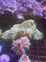IMG_2186.jpeg