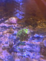 IMG_2183.jpeg