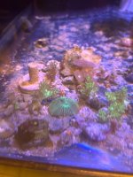 IMG_2182.jpeg