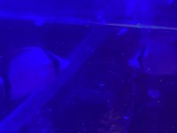 IMG_1230.jpg