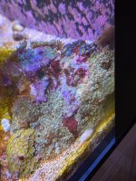 IMG_0057.jpeg