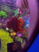 IMG_1718.jpeg