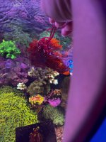 IMG_1717.jpeg