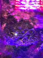 IMG_1721.jpeg