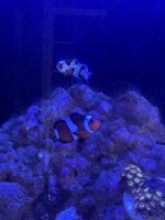 IMG_3642.jpeg
