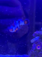 IMG_3636.jpeg