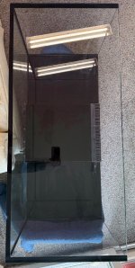 IMG_0431.jpeg