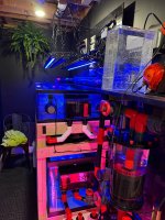 IMG_0892.jpeg