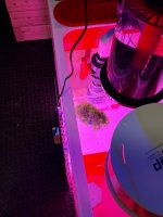 IMG_0893.jpeg